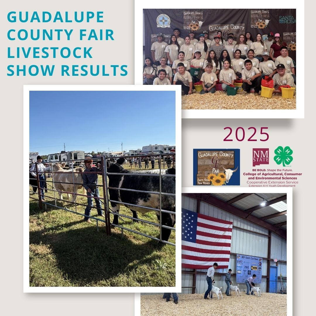 show results