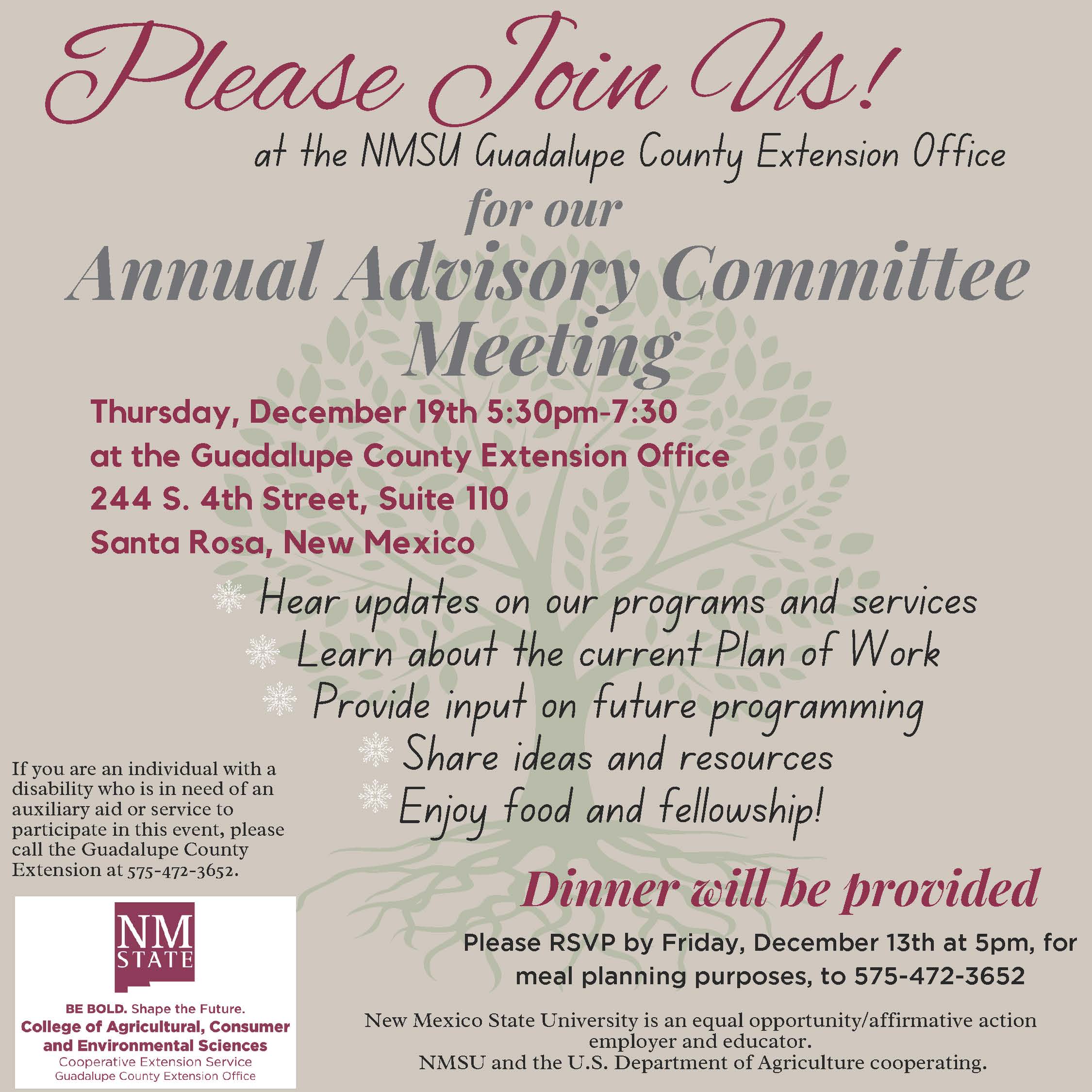 Flyer for Advisory Committee course