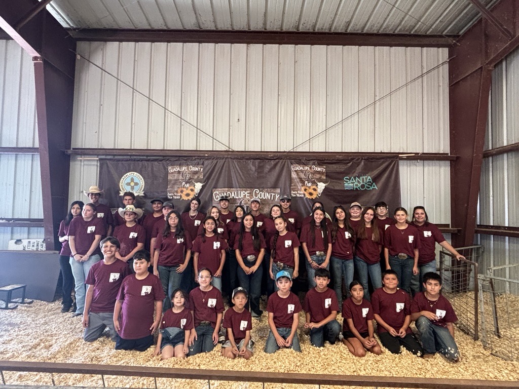4-H youth